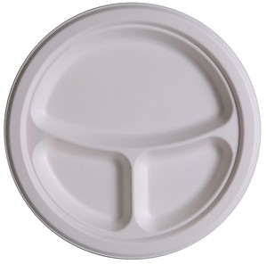 Eco Friendly 3 Compartment Plate 10