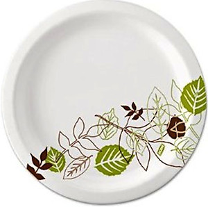 Dixie Pathway Heavyweight Paper Plates 8 5/8