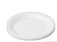 Styro Foam Plate - 6