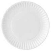 Paper Picnic Plates - 9